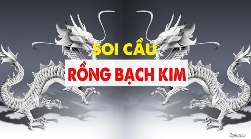 Hướng Dẫn Cách Soi cầu Rồng Bạch Kim Chuẩn Xác Và Đơn Giản